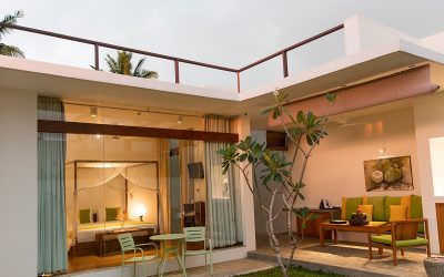 Araliya tree and green grass surrounding room