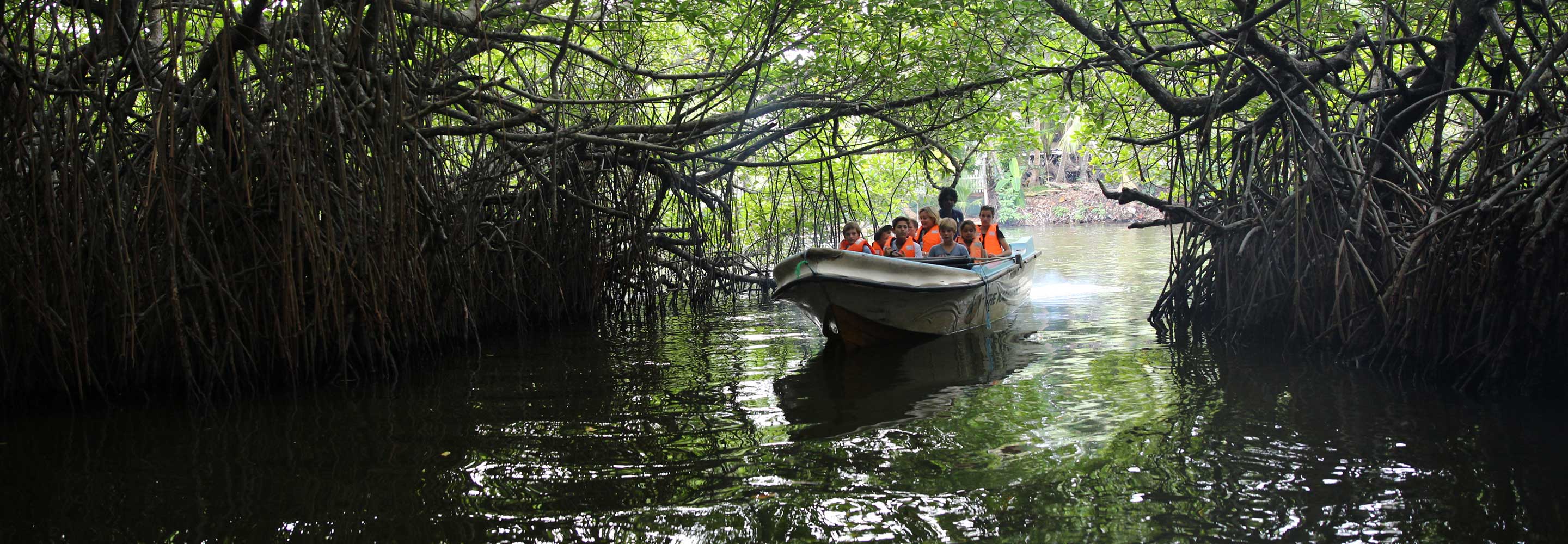 The cruise along the Madu Ganga